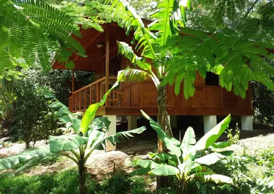 a tree house in the middle of a forest at Rancho de Lelo Ecolodge in Monteverde Costa Rica