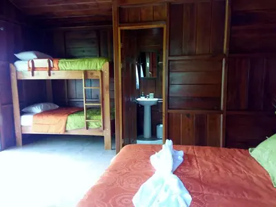 a small room with two bunk beds and a cat on the bed at Rancho de Lelo Ecolodge in Monteverde Costa Rica
