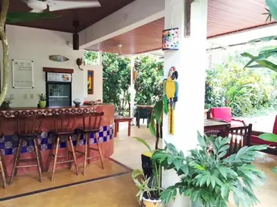 a bar in a restaurant with chairs and plants at Hotel Tropical Sands Dominical in Dominical