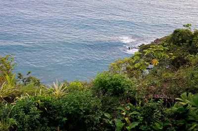 a view of the ocean from a hill with plants at Arenas Del Mar Beachfront & Rainforest Resort Member of the Cayuga Collection in Manuel Antonio