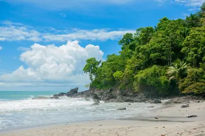 a sandy beach with trees and the ocean at Arenas Del Mar Beachfront & Rainforest Resort Member of the Cayuga Collection in Manuel Antonio