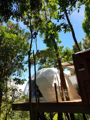 a dome house in the middle of trees at Chira Glamping Resort Monteverde in Monteverde Costa Rica