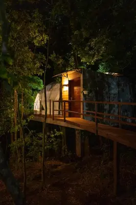 a tree house in the woods at night at Chira Glamping Resort Monteverde in Monteverde Costa Rica