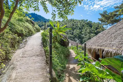 Gallery image of Tami Lodge in Providencia