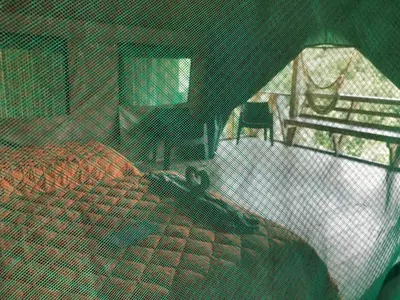 Gallery image of Tami Lodge in Providencia