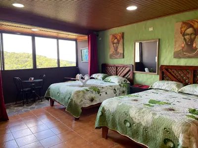 two beds in a room with green walls and windows at Cabinas Vista Al Golffo in Monteverde Costa Rica