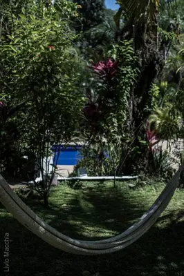 a hammock in front of a garden with plants at Blanconejo de Montezuma in Montezuma