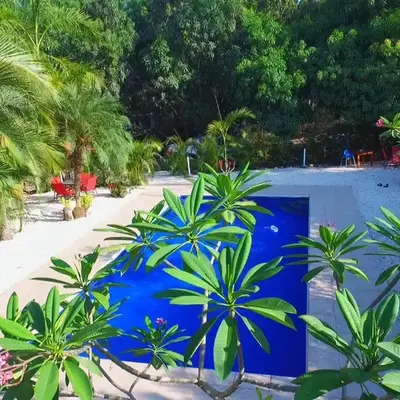 Blanconejo de Montezuma