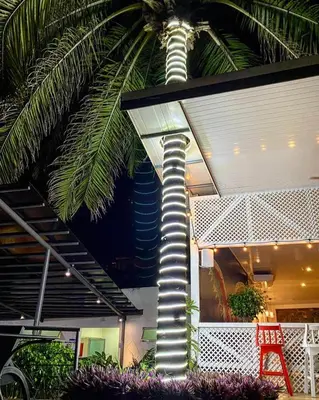 a palm tree next to a building with a spiral staircase at Hotel PZ Country Club & Conference Center in San Isidro