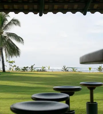 a group ofools sitting on the grass near the ocean at Totobe Resort in Jabilla