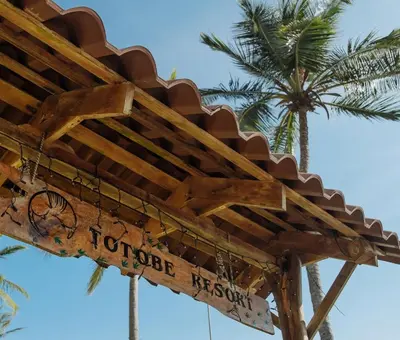 a sign for the tobacco museum with a palm tree in the background at Totobe Resort in Jabilla
