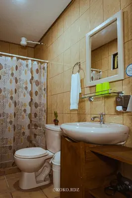 a bathroom with a toilet and a sink at Hotel Santa Fe B&B in Monteverde Costa Rica