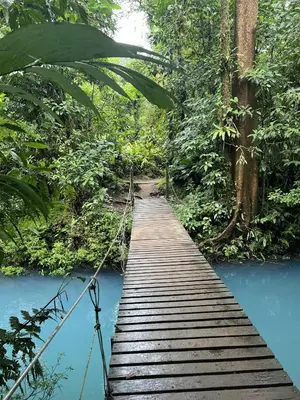 a wooden bridge over a river in the jungle at Kakao Lodge & Garden Río Celeste in Bijagua