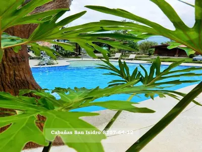 a close up of a tree and a swimming pool at Cabañas San Isidro in Ángeles