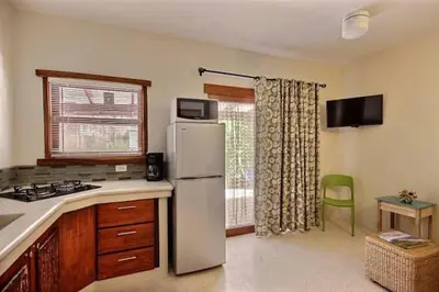 a kitchen with a white refrigerator and a window at Ten North Tamarindo Beach Hotel in Tamarindo