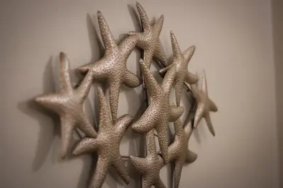 a group of starfish hanging on a wall at Ten North Tamarindo Beach Hotel in Tamarindo