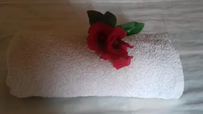 a red flower sitting on top of a towel at Villa De Los Monos, casitas equipadas en Guanacaste in Matapalo