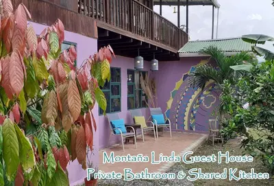 a house with a mural on the side of it at Montaña Linda Guest House Orosi in Orosí