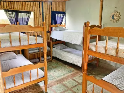 a room with several bunk beds in it at Montaña Linda Hostel Orosi in Orosí