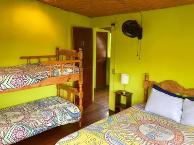 two bunk beds in a room with yellow walls at Montaña Linda Hostel Orosi in Orosí