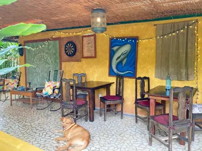 a dog sitting in front of a restaurant with tables and chairs at Montaña Linda Hostel Orosi in Orosí