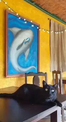 a black cat laying on a table in front of a painting at Montaña Linda Hostel Orosi in Orosí