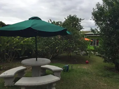 a table with a green umbrella on top at Hotel Your House in Alajuela City