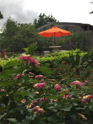 an orange umbrella in a garden with flowers at Hotel Your House in Alajuela City