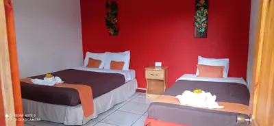 two beds in a room with a red wall at Hotel Your House in Alajuela City