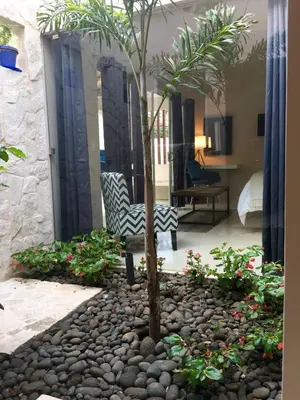 a garden with a palm tree and a chair at La Ramona Charming Hotel in Tamarindo