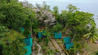an aerial view of blue chairs in the trees at Corcovado Adventures in Drake