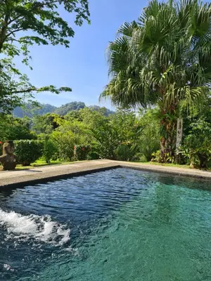 a swimming pool with a palm tree in the background at Los Gallitos Eco Lodge in San Miguel