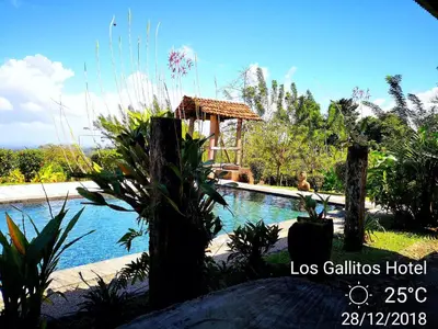 a swimming pool with plants and a gazebo at Los Gallitos Eco Lodge in San Miguel