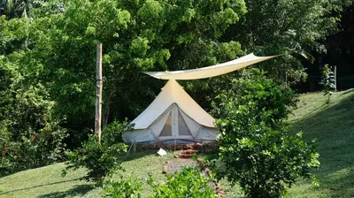 a white tent in a field with trees at Alouatta Playa Coyote in San Francisco