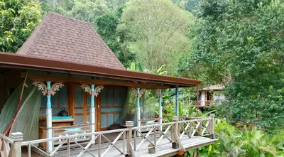 a small house with a wooden porch in a forest at Uvita Bali Bosque Retreat in Uvita