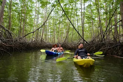 three people kayaking on a river in a forest at Uvita Bali Bosque Retreat in Uvita