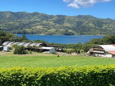 a view of a farm with a lake in the background at Los Héroes in Nuevo Arenal