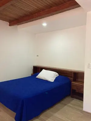 a bedroom with a bed with blue sheets and a pillow at Los Héroes in Nuevo Arenal