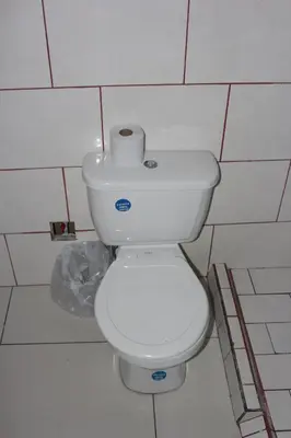 a toilet in a bathroom with a roll of toilet paper at Hotel Pecos Bill in San José