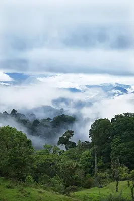 a misty valley with trees and clouds in the background at Iyok Ami (Madre Tierra) in Cartago