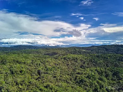 an aerial view of a lush green forest at Iyok Ami (Madre Tierra) in Cartago