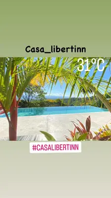 a sign that says casa libertine with a palm tree at Casa Libertinn in Manuel Antonio