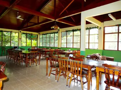 a restaurant with wooden tables and chairs and windows at La Selva Biological Station in Sarapiquí