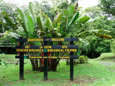 a directional sign in front of a banana tree at La Selva Biological Station in Sarapiquí