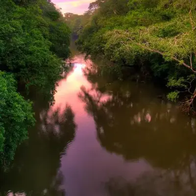La Selva Biological Station