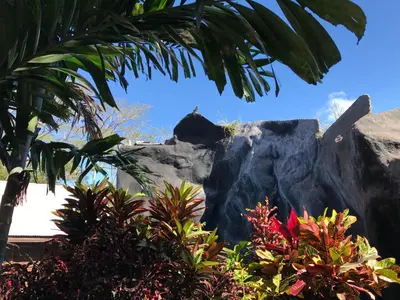 a large rock in a garden with plants at Hotel Cabañas La Teca in Liberia