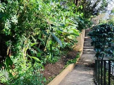 a path in a garden with plants and a fence at Don Jarvey I Bed & Breakfast in Monteverde Costa Rica