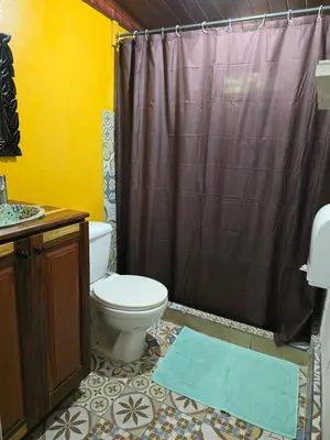 a bathroom with a toilet and a shower curtain at Congos Hostal y Camping in Playa Hermosa
