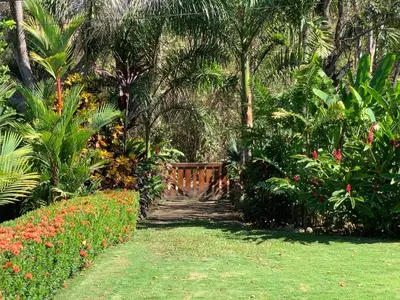 a garden with palm trees and a wooden fence at Ocean View Echemare Tango Mar in Tambor