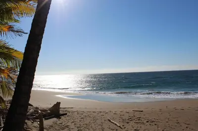 a beach with two palm trees and the ocean at Ocean View Echemare Tango Mar in Tambor